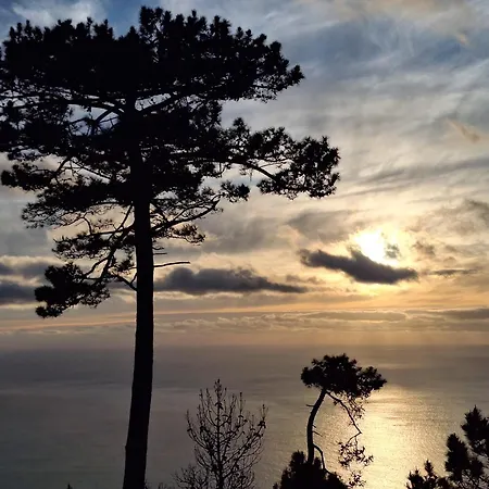 Διαμέρισμα Quinta Do Munot Raposeira do Logarinho