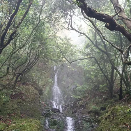 Apartmán Quinta Do Munot Raposeira do Logarinho