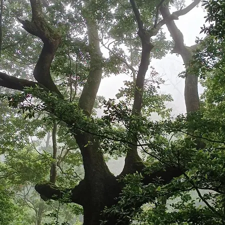 Quinta Do Munot Apartmán