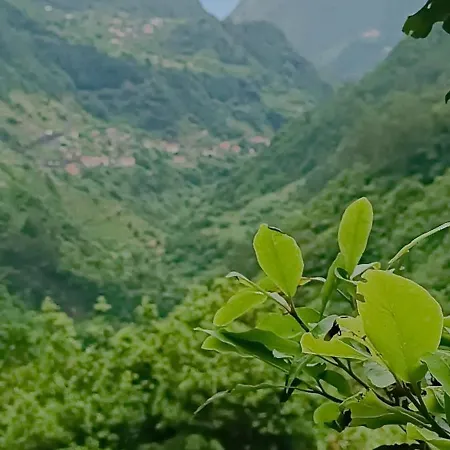 Quinta Do Munot * Raposeira do Logarinho