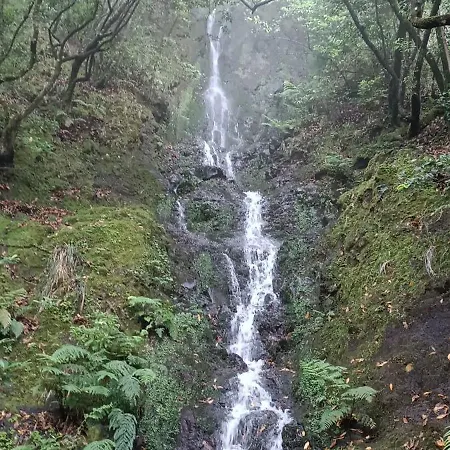 Quinta Do Munot * Raposeira do Logarinho