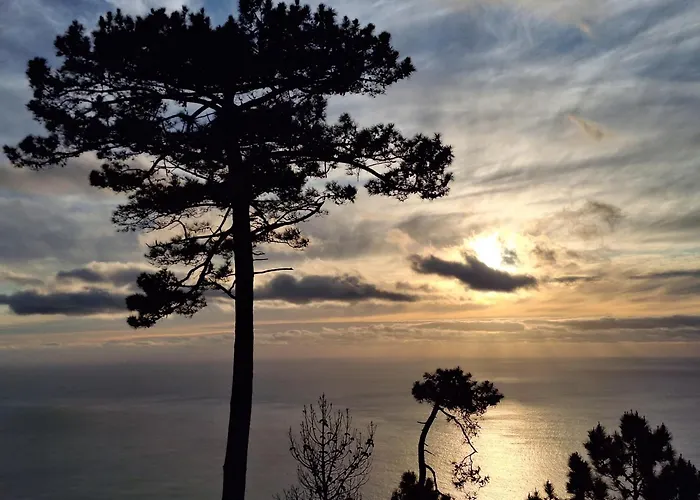 Appartement Quinta Do Munot Raposeira do Logarinho