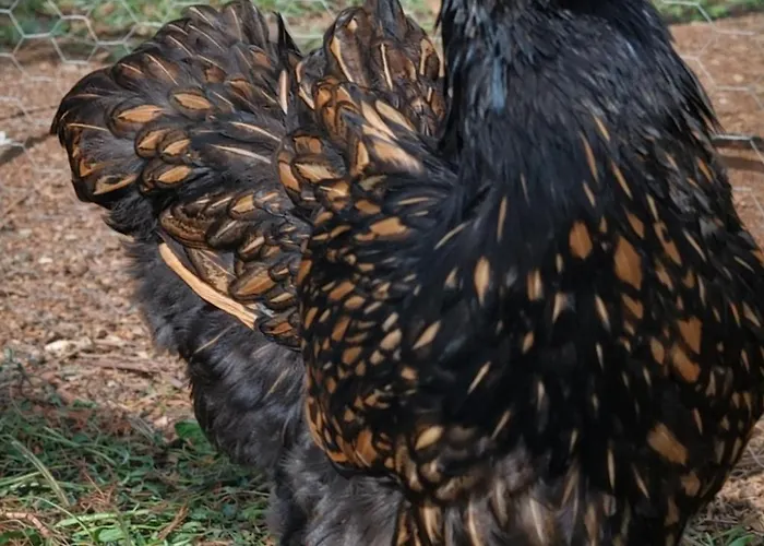 Quinta Do Munot * Raposeira do Logarinho