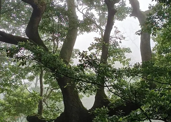 Quinta Do Munot Appartement