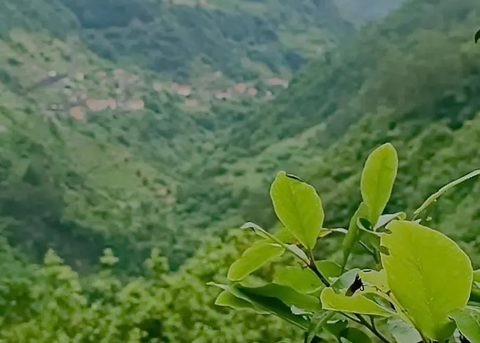 Quinta Do Munot * Raposeira do Logarinho