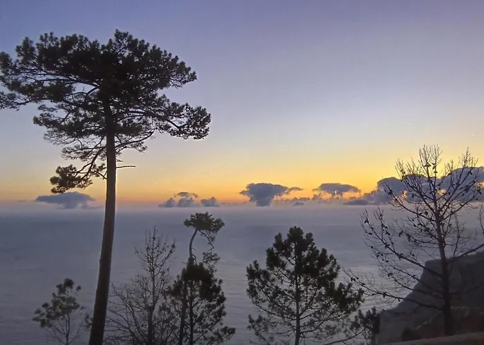 Quinta Do Munot Appartement Raposeira do Logarinho