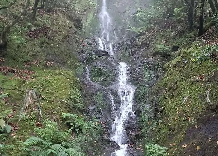 Quinta Do Munot * Raposeira do Logarinho